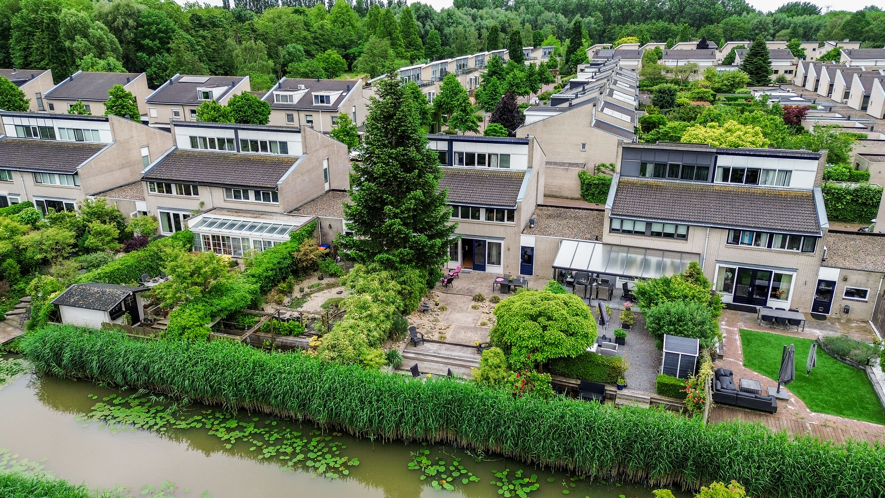 Foto Wilgewinde 44 – Dordrecht