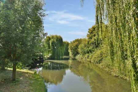 Zwaluwenburg 32 – Dordrecht – Foto 30