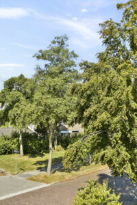 Elzenlaan 124 – Dordrecht – Foto 17