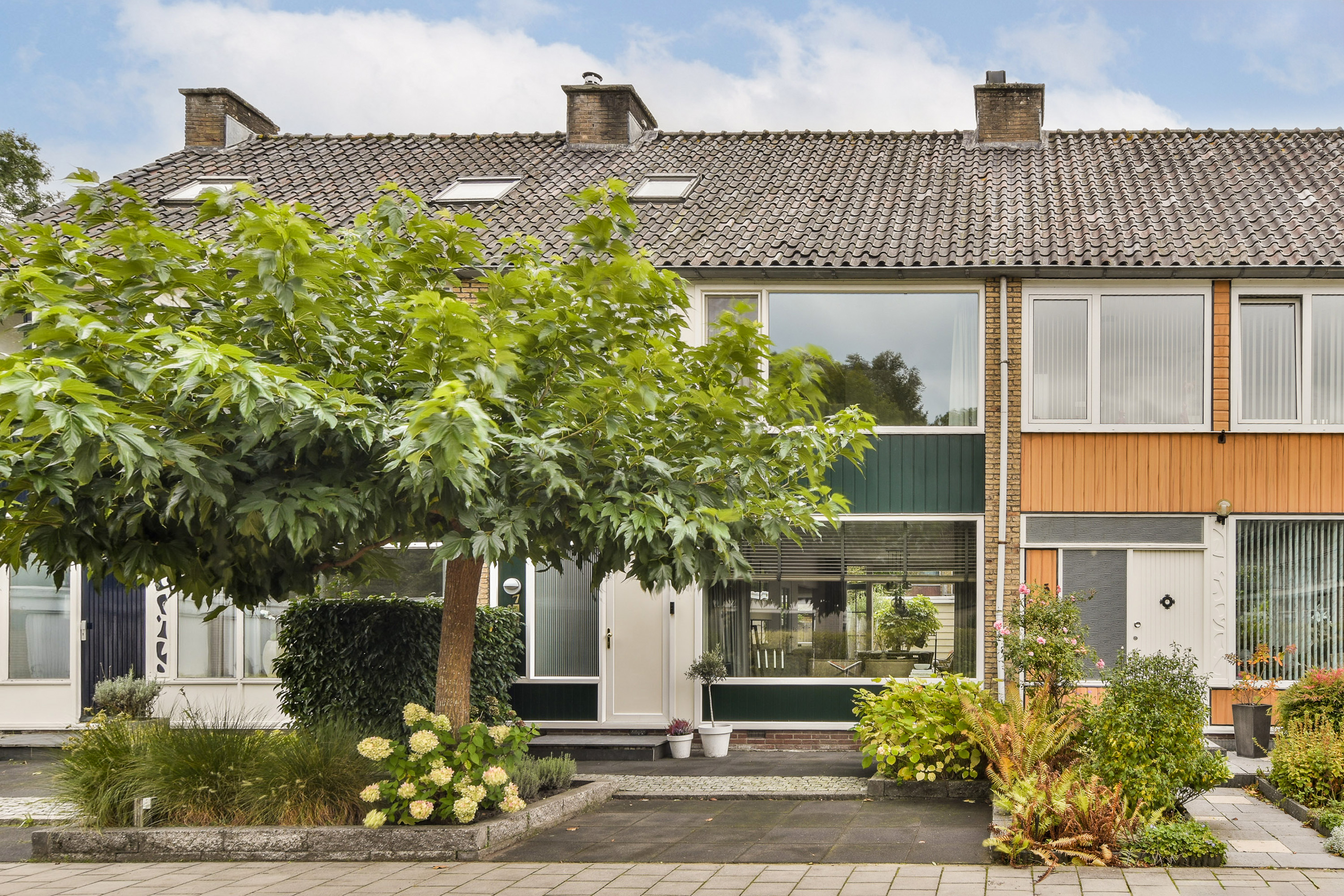 Foto Lobelia 7 – Dordrecht