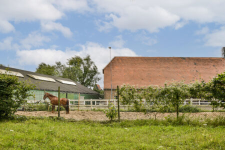 Robinia 15 – Dordrecht – Foto 31