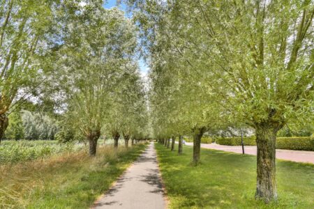 Stevenshof 30 – Dordrecht – Foto 42