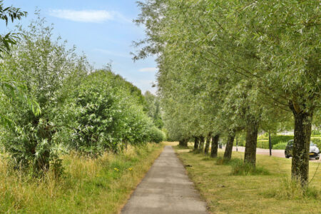 Stevenshof 20B – Dordrecht – Foto 38