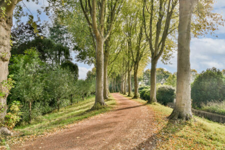 Elzenlaan 166 – Dordrecht – Foto 46