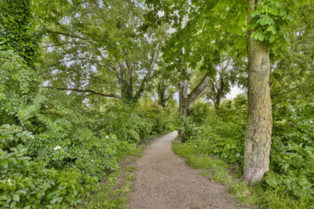 Nessestraat 11 – Dordrecht – Foto 26